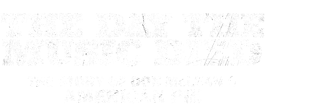The Day The Music Died: The Story of Don McLean's American Pie