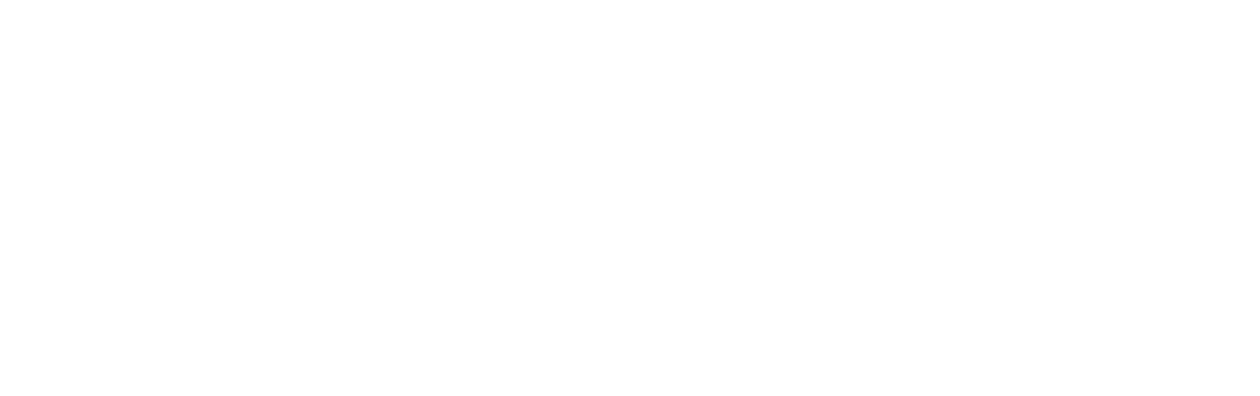 PAW Patrol: Mission PAW