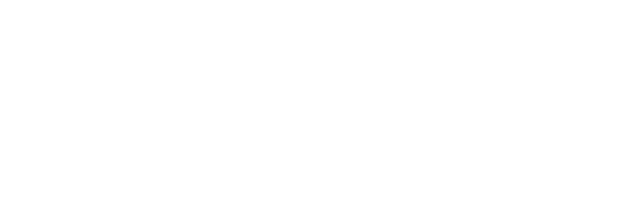 Diana and the Paparazzi