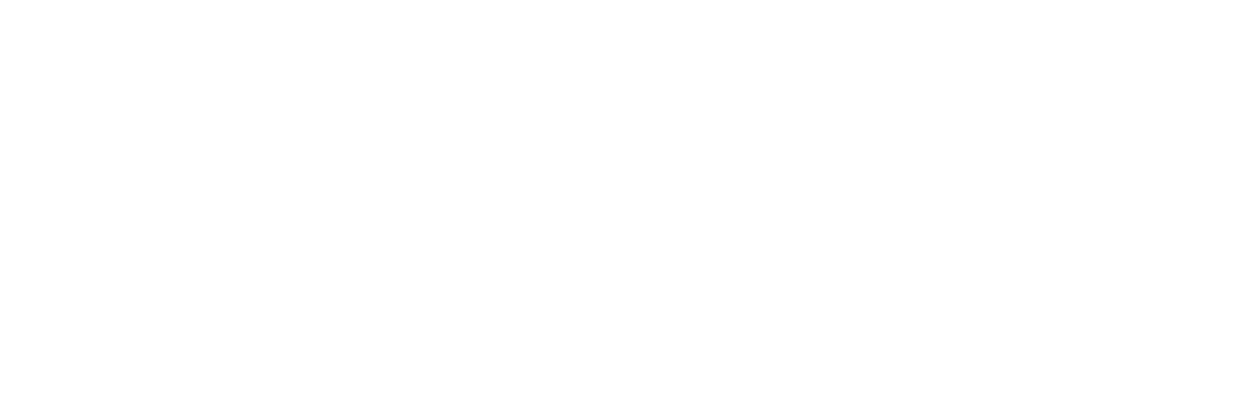 Mysteries of the Rainforest