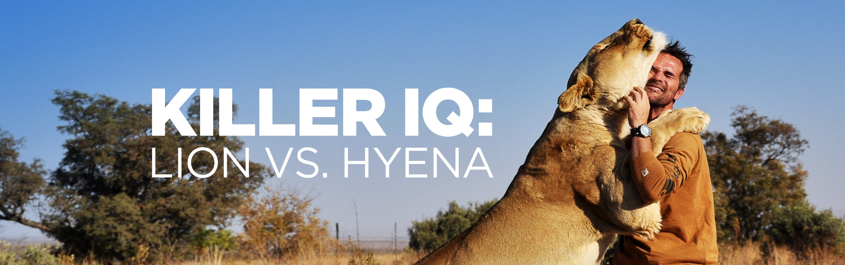 Killer IQ: Lion vs. Hyena LOGO