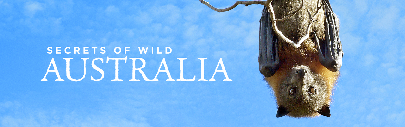 Secrets of Wild Australia LOGO