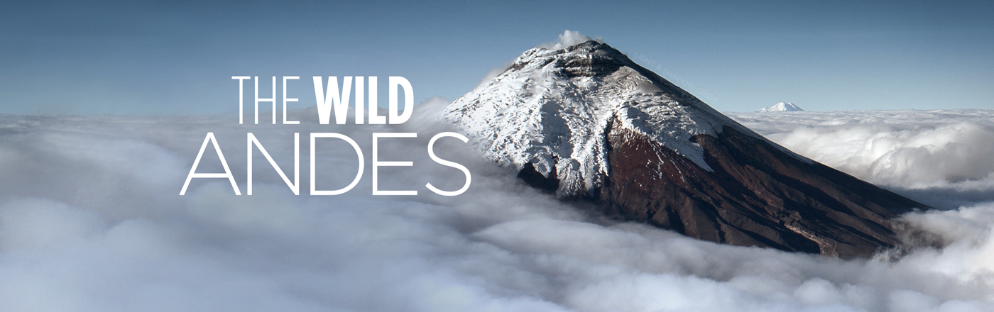 The Wild Andes LOGO