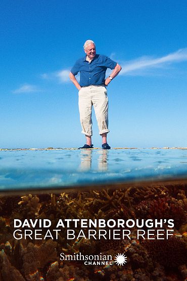 David Attenborough's Great Barrier Reef - Builders