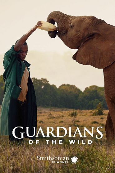 Guardians of the Wild - Elephant Rescue