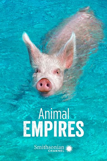 Animal Empires - Family