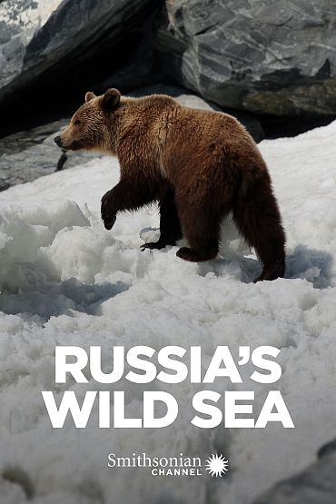 Russia's Wild Sea - Only the Toughest