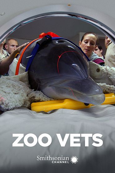 Zoo Vets - Tails, Teeth and Snouts