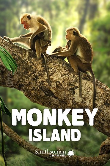 Monkey Island - A Mother's Tale