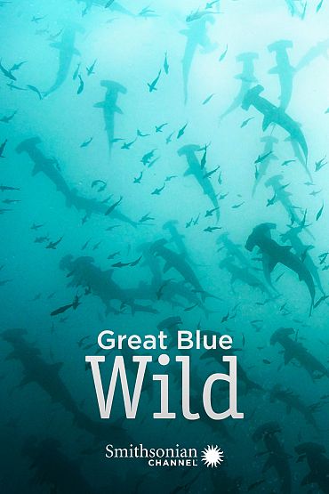 Great Blue Wild - Socorro