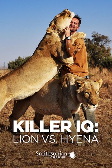 Killer IQ: Lion vs. Hyena - Predator Games