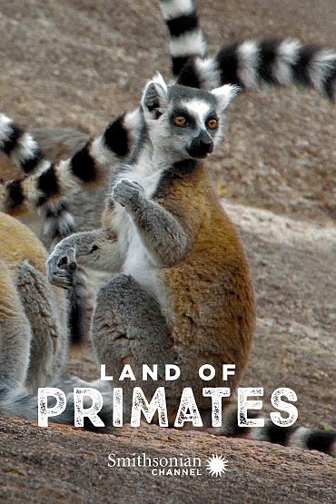 Land of Primates - Lemurs of Anja Mountain