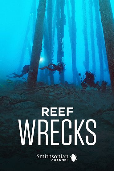 Reef Wrecks - Bonaire