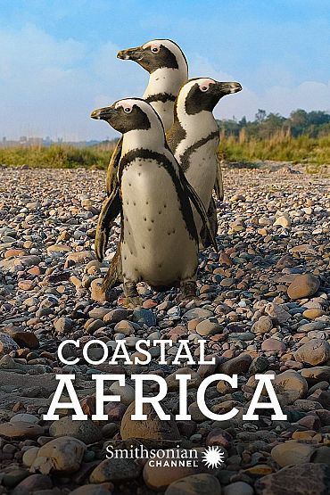 Coastal Africa - Sweeping Shores