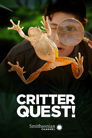 Critter Quest! - Episode 1