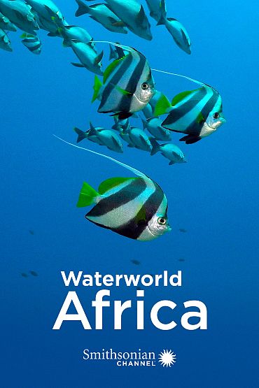 Waterworld Africa - Tidal Forest of Africa