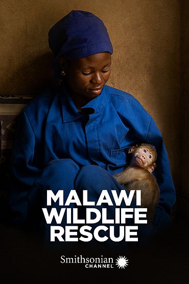 Malawi Wildlife Rescue - Chasing Freedom