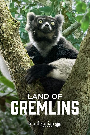 Land of Gremlins - Lemur Spirit